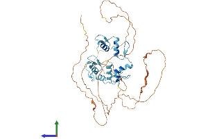 AlphaFold protein structure predicition of Human Recombinant GFI1 Protein, UniprotID Q99684
