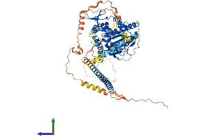AlphaFold protein structure predicition of Mouse Recombinant Kif12 Protein, UniprotID Q9D2Z8