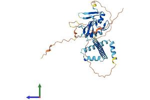 AlphaFold protein structure predicition of Mouse Recombinant Phf11 Protein, UniprotID A6H5X4