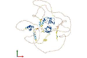 AlphaFold protein structure predicition of Human Recombinant TDRD3 Protein, UniprotID Q9H7E2