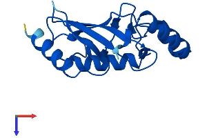 AlphaFold protein structure predicition of Human Recombinant UBE2L6 Protein, UniprotID O14933
