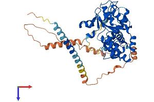 AlphaFold protein structure predicition of Human Recombinant CHST9 Protein, UniprotID Q7L1S5