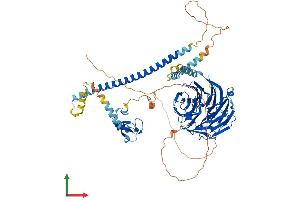 AlphaFold protein structure predicition of Mouse Recombinant Cop1 Protein, UniprotID Q9R1A8