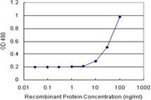 Sandwich ELISA detection sensitivity ranging from 10 ng/mL to 100 ng/mL. (SGCG (Humain) Matched Antibody Pair)
