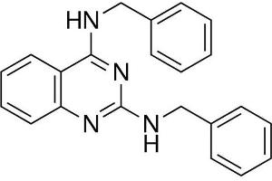 Chemical structure of DBeQ , a p97 inhibitor.