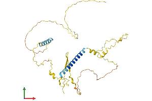 AlphaFold protein structure predicition of Mouse Recombinant Taf1d Protein, UniprotID Q9D4V4