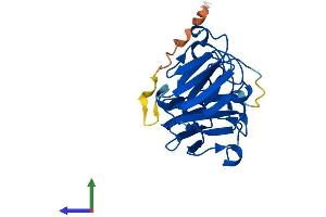 AlphaFold protein structure predicition of Human Recombinant CRYBA1 Protein, UniprotID P05813