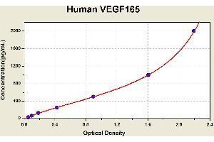 Diagramm of the ELISA kit to detect Human VEGF165with the optical density on the x-axis and the concentration on the y-axis. (VEGF 165 Kit ELISA)