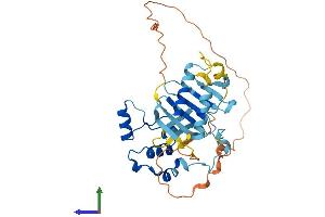 AlphaFold protein structure predicition of Human Recombinant PLK5 Protein, UniprotID Q496M5
