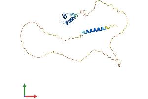 AlphaFold protein structure predicition of Human Recombinant EMD Protein, UniprotID P50402