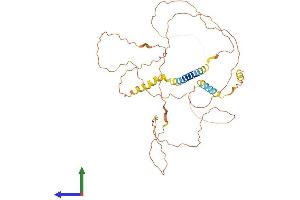 AlphaFold protein structure predicition of Human Recombinant AJAP1 Protein, UniprotID Q9UKB5