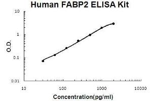 Human FABP2/I-FABP PicoKine ELISA Kit standard curve (FABP2 Kit ELISA)
