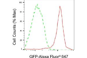 Flow cytometric analysis of 293T cells transfected with GFP protein using GFP antibody (T028, 1:2,000). (GFP Tag anticorps)