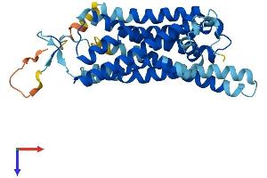 AlphaFold protein structure predicition of Mouse Recombinant Taar5 Protein, UniprotID Q5QD14