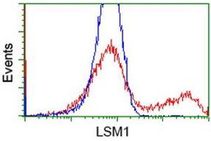 Flow Cytometry (FACS) image for anti-LSM1 Homolog, U6 Small Nuclear RNA Associated (LSM1) (AA 1-133) antibody (ABIN1490575) (LSM1 anticorps  (AA 1-133))
