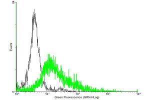 FACS analysis of negative control 293 cells (Black) and P2RY8 expressing 293 cells (Green) using P2RY8 purified MaxPab mouse polyclonal antibody.