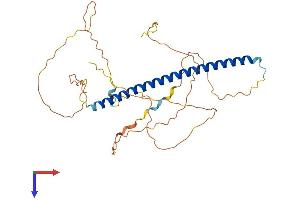 AlphaFold protein structure predicition of Human Recombinant FOSB Protein, UniprotID P53539