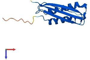 AlphaFold protein structure predicition of Mouse Recombinant Dynlt3 Protein, UniprotID P56387