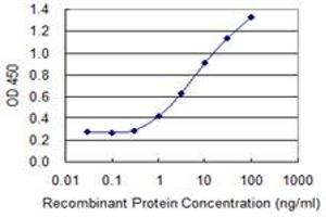 Detection limit for recombinant GST tagged BNC1 is 0.