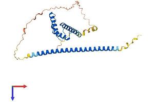 AlphaFold protein structure predicition of Mouse Recombinant Msantd3 Protein, UniprotID Q9CR78