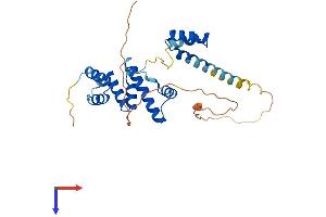 AlphaFold protein structure predicition of Human Recombinant SIX1 Protein, UniprotID Q15475