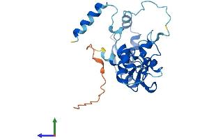 AlphaFold protein structure predicition of Mouse Recombinant Rnf166 Protein, UniprotID Q3U9F6