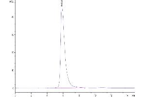 The purity of Human NKp46 is greater than 95 % as determined by SEC-HPLC.