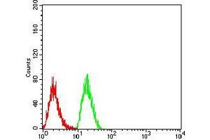 Flow cytometric analysis of Hela cells using TTF1 mouse mAb (green) and negative control (red). (TTF1 anticorps  (AA 1-150))