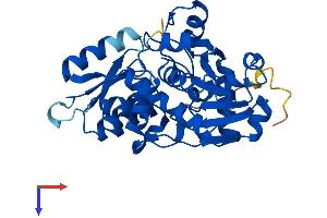 AlphaFold protein structure predicition of Mouse Recombinant Srr Protein, UniprotID Q9QZX7