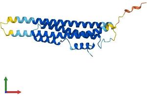 AlphaFold protein structure predicition of Mouse Recombinant Cinp Protein, UniprotID Q9D0V8