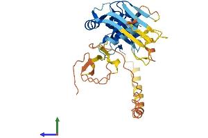 AlphaFold protein structure predicition of Human Recombinant PJVK Protein, UniprotID Q0ZLH3
