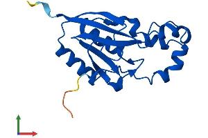 AlphaFold protein structure predicition of Human Recombinant DESI1 Protein, UniprotID Q6ICB0