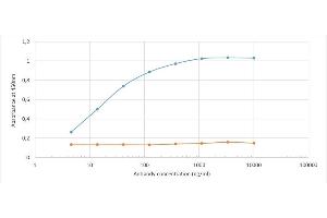 Binding curve of anti-D-Dimer antibody 3B6 (ABIN7072205) to D-dimer protein. (Recombinant D-Dimer anticorps)