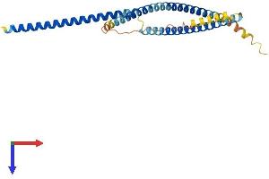 AlphaFold protein structure predicition of Human Recombinant FGFR1OP2 Protein, UniprotID Q9NVK5