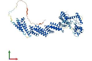 AlphaFold protein structure predicition of Human Recombinant CUL4A Protein, UniprotID Q13619
