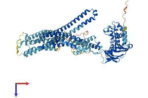 AlphaFold protein structure predicition of Mouse Recombinant Abcb6 Protein, UniprotID Q9DC29