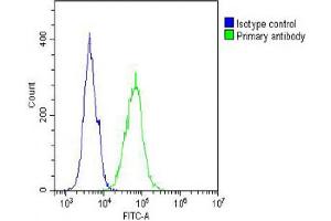 Overlay histogram showing A431 cells stained with (ABIN654644 and ABIN2844340) (green line). (IL12_2 (AA 756-783), (C-Term) anticorps)