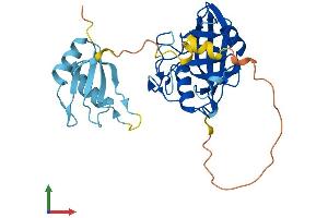 AlphaFold protein structure predicition of Human Recombinant PPIE Protein, UniprotID Q9UNP9