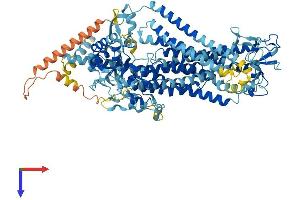 AlphaFold protein structure predicition of Human Recombinant ANO5 Protein, UniprotID Q75V66