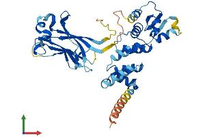 AlphaFold protein structure predicition of Mouse Recombinant Tdpoz2 Protein, UniprotID Q717B2