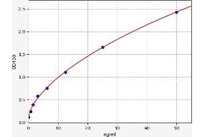 Typical standard curve (AOX1 Kit ELISA)