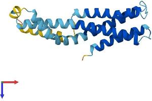AlphaFold protein structure predicition of Human Recombinant SSR3 Protein, UniprotID Q9UNL2