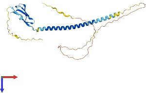 AlphaFold protein structure predicition of Mouse Recombinant Susd3 Protein, UniprotID Q9D176