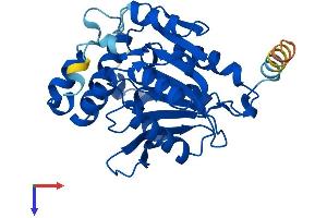 AlphaFold protein structure predicition of Human Recombinant SPG21 Protein, UniprotID Q9NZD8