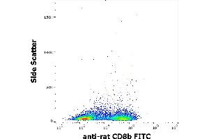 Flow cytometry surface staining pattern of rat splenocyte suspension stained using anti-rat CD8b (341) FITC antibody (concentration in sample 1 μg/mL). (CD8B anticorps  (FITC))