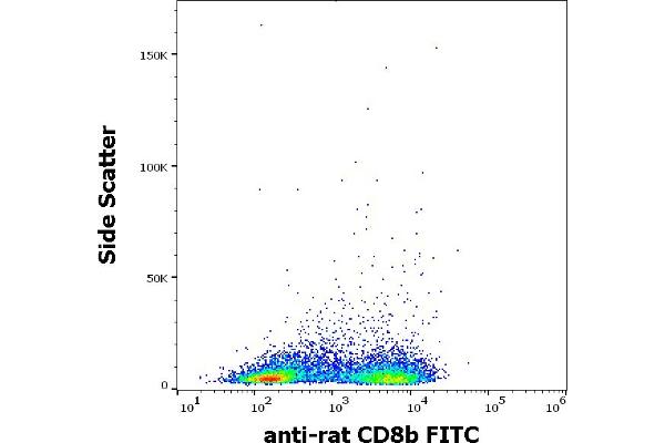 CD8B anticorps  (FITC)