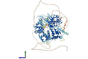 AlphaFold protein structure predicition of Mouse Recombinant Lig3 Protein, UniprotID P97386