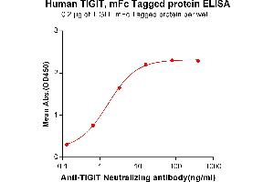 ELISA plate pre-coated by 2 μg/mL (100 μL/well) Human TIGIT, mFc tagged protein (ABIN6961182, ABIN7042393 and ABIN7042394) can bind Anti-TIGIT Neutralizing antibody ABIN6964437 and ABIN7272573 in a linear range of 0.