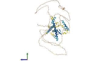 AlphaFold protein structure predicition of Human Recombinant GATAD2B Protein, UniprotID Q8WXI9