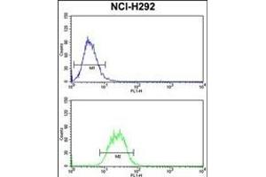 SNRPD2 Antibody (N-term) (ABIN390823 and ABIN2841054) flow cytometry analysis of NCI- cells (bottom histogram) compared to a negative control cell (top histogram). (SNRPD2 anticorps  (N-Term))